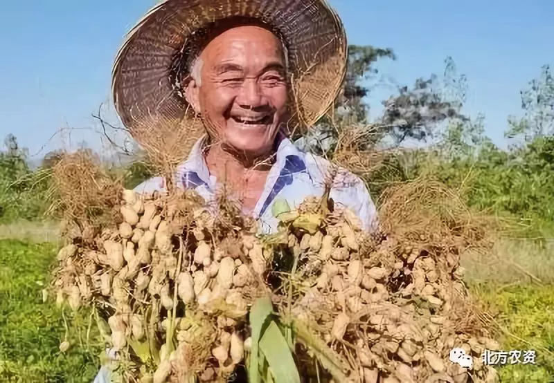 首个"中国农民丰收节"23号就要来了!