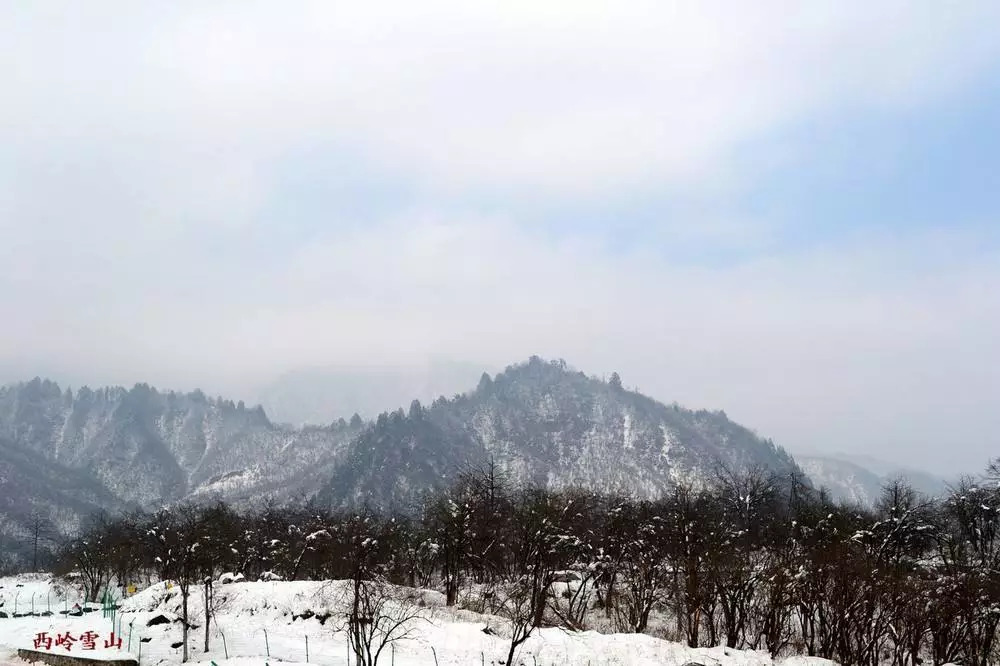 窗含西岭千秋雪,门泊东吴万里船.两个黄鹂鸣翠柳,一行白鹭上青天.