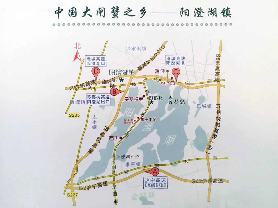 与秋天浪漫"蟹"逅,阳澄湖大闸蟹,蟹都汇大闸蟹新鲜上市啦,快来抢购