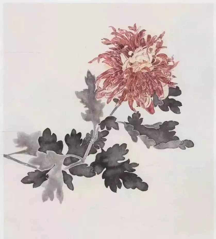 没骨花卉画法之兰花,桂花,菊花