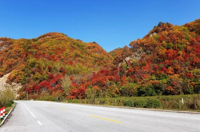 本桓公路辽东秋天最繁忙的公路带你去最秋天的地方看枫景