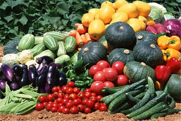 富含类胡萝卜素的食物:深色蔬菜和水果.