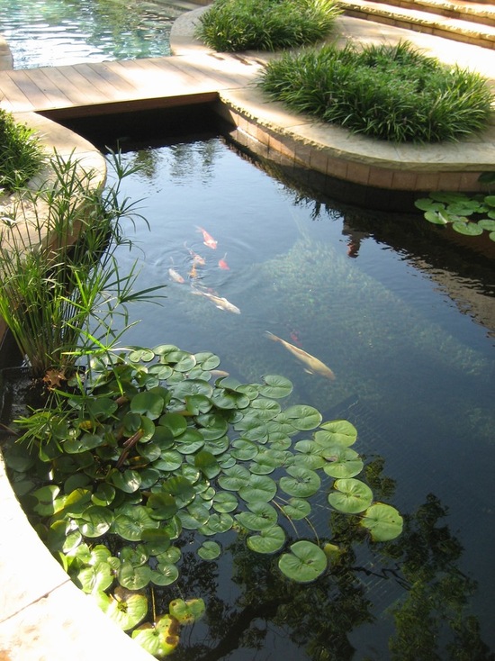 8个私家庭院"景观鱼池"设计案例,想要自建鱼池的可参考!