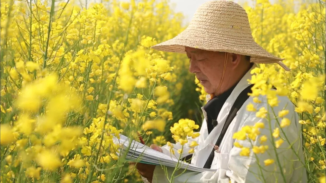 如果你看过油菜花田,一定要知道他_傅廷栋