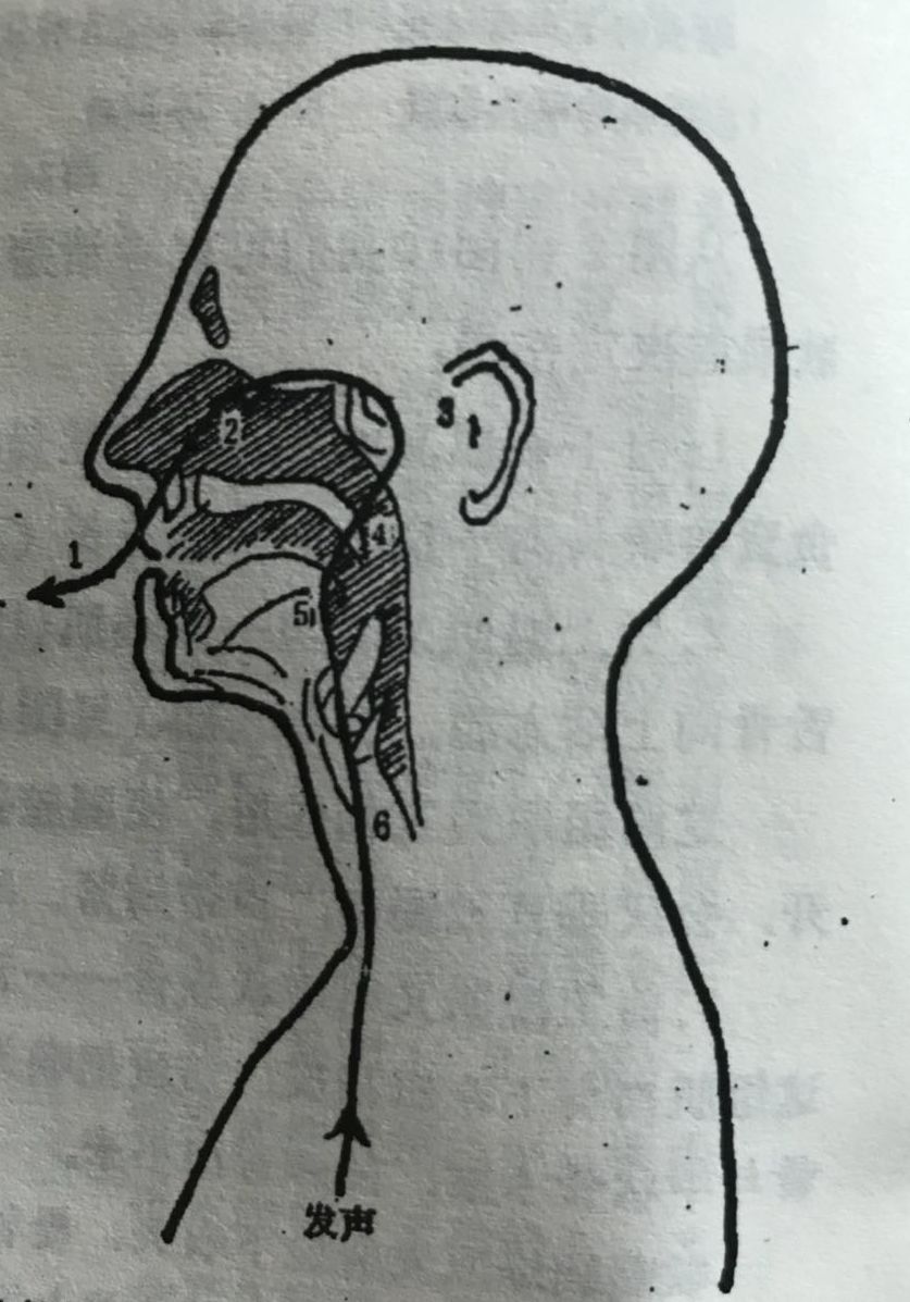 【歌唱杂谈】喉头向下挡气吐字发音法