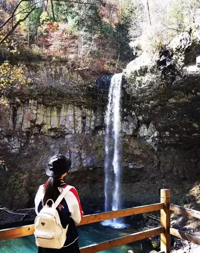 七道沟风景区的秋天绚烂多彩,落叶纷飞散落在木栈道上,铺满金黄大地