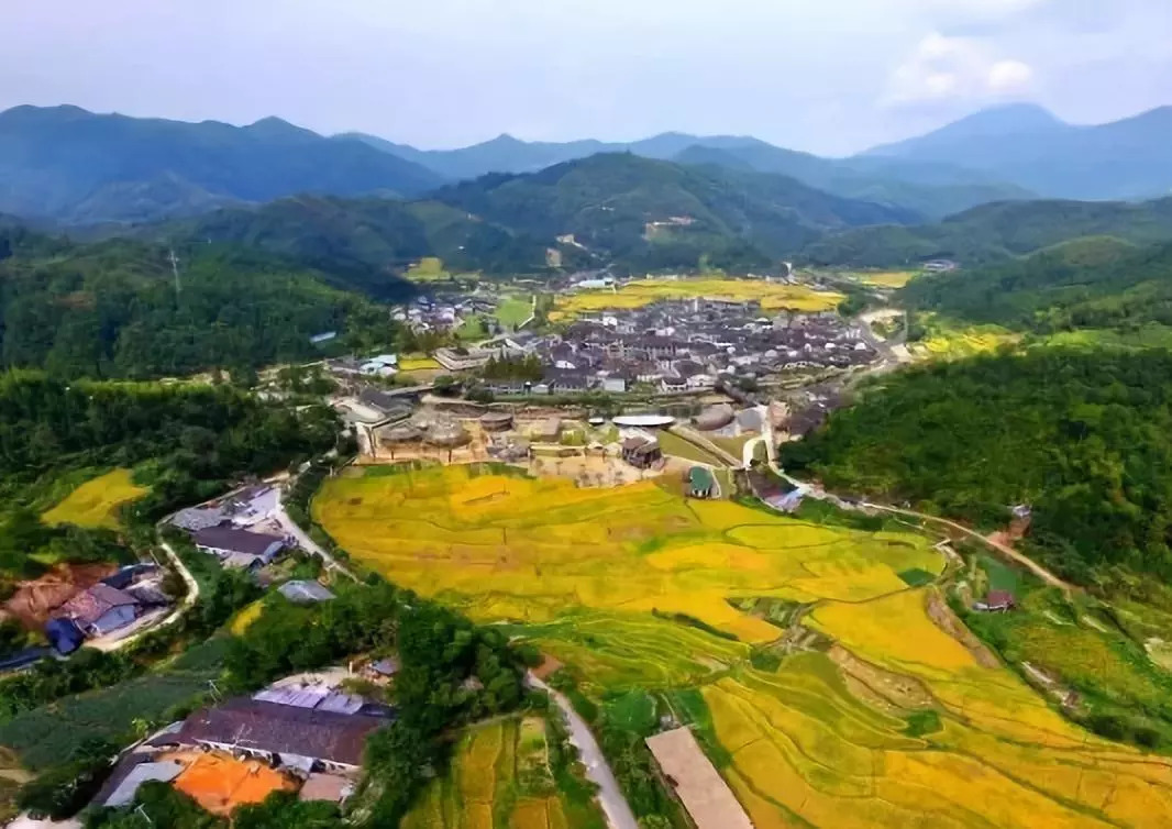 龙泉市溪头村入选中国最美森林人家