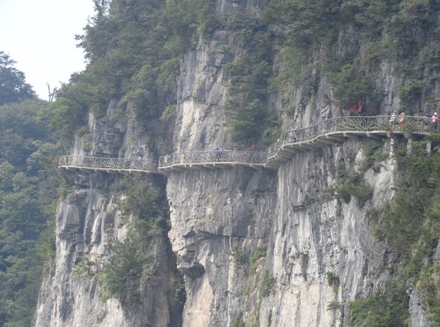 峨眉山又有游客坠崖,前后不到10天,舍身崖到底怎么了?