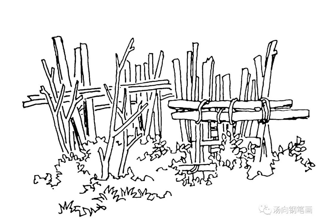 学钢笔画211草丛篱笆看着有点复杂