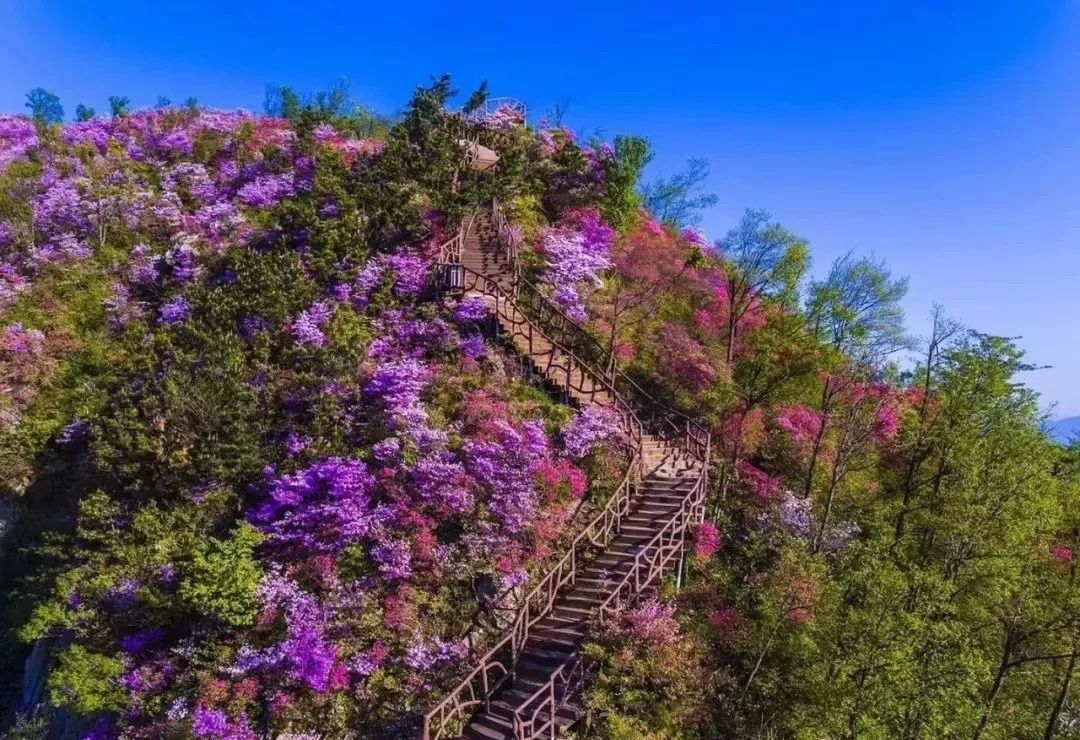 植入"兵寨"文化,让湖北英山天马寨这只"花"老虎飞起来