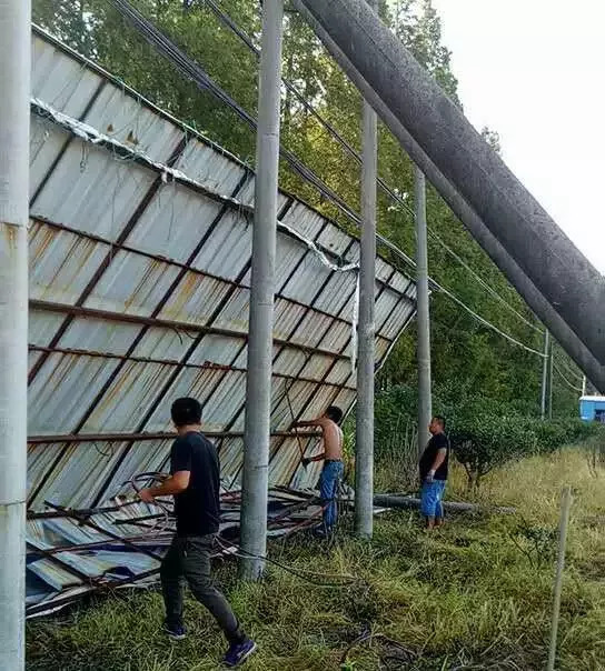 民丰人口多少_台湾有多少人口