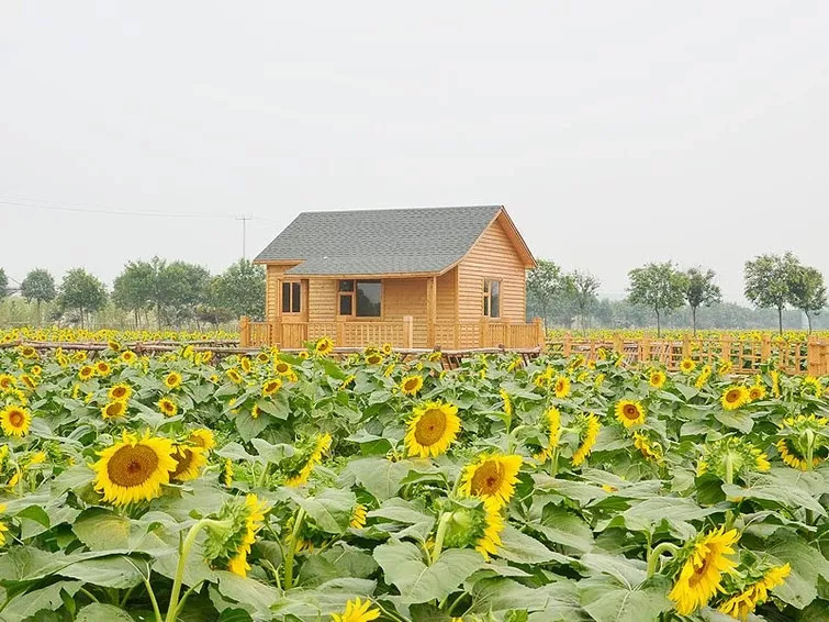 山东省荣成市俚岛镇烟墩角村 山东省临沂市兰陵县卞庄街道代村 山东省