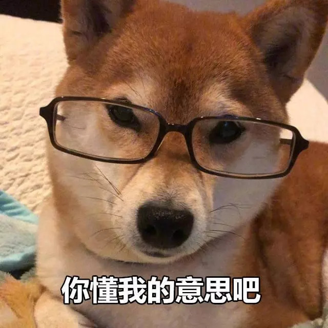 柴犬表情包:来个热吻吗宝贝