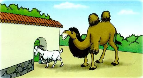 骆驼对应的成语是什么_骆驼虫长大是什么