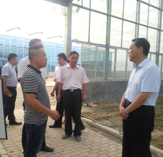 江西省农业厅厅长胡汉平调研中农鑫伟承建的南昌航天农业园项目