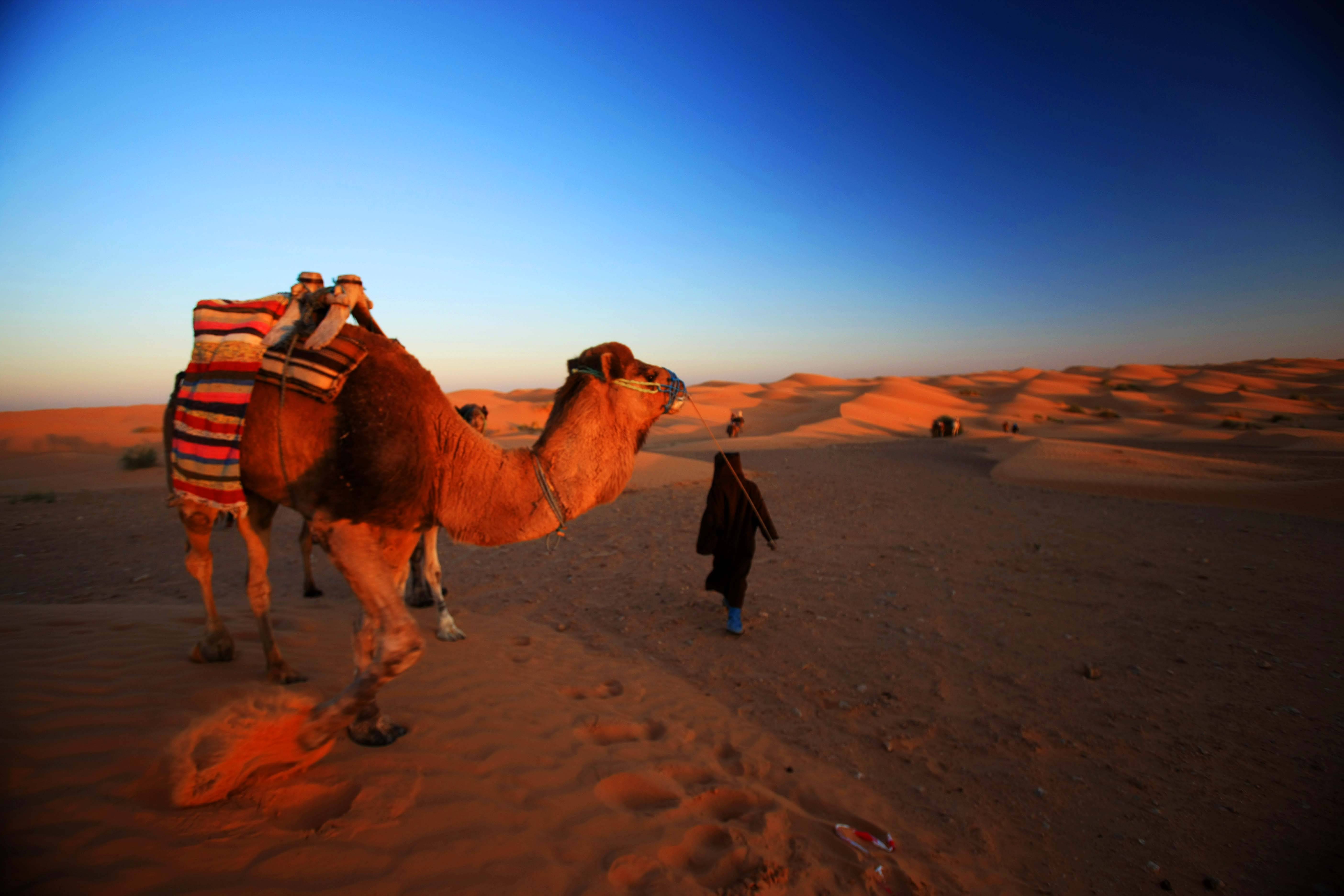 去摩洛哥旅行先去三毛笔下的撒哈拉沙漠看一下