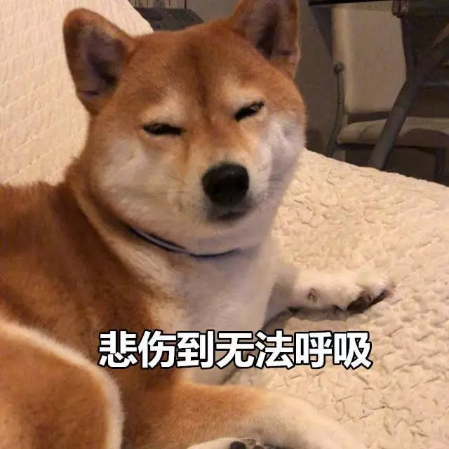 柴犬表情包:来个热吻吗宝贝