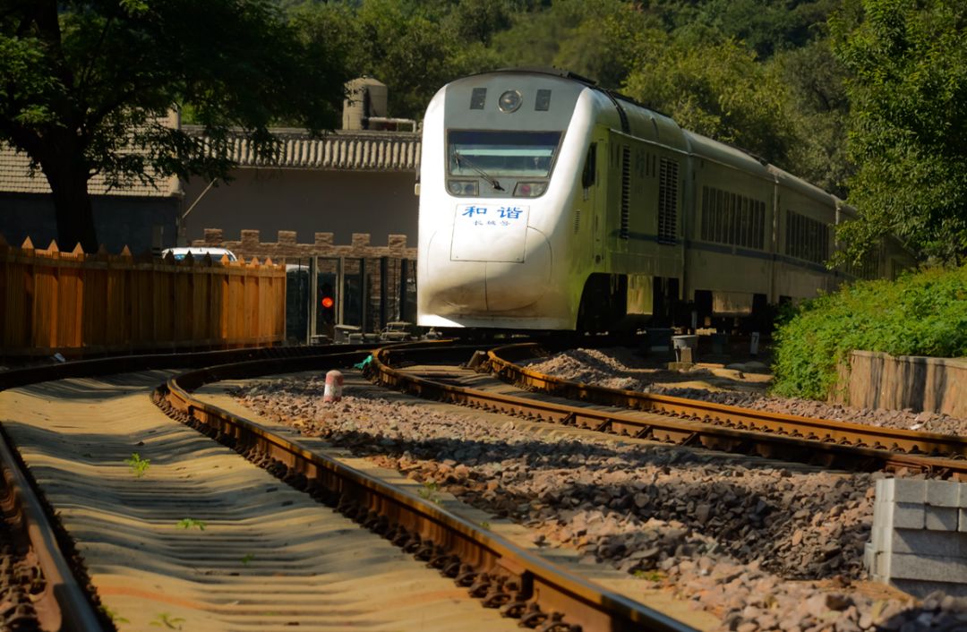 达到停运车次为 深圳北—北京西d902,d904次,d910次,d928次;湛江西