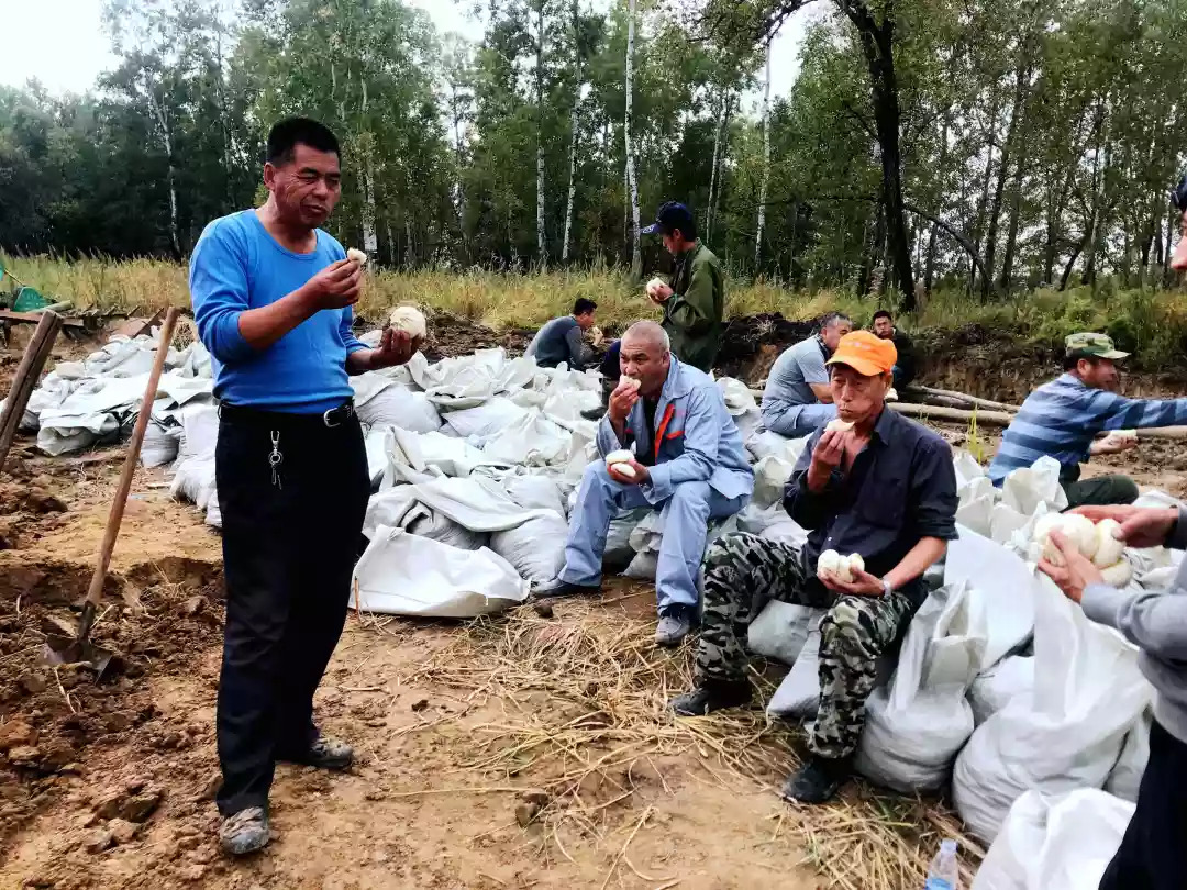 抗洪抢险 饶河农场在行动!