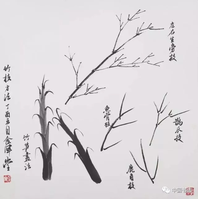 竹子这样画,绝对有风骨