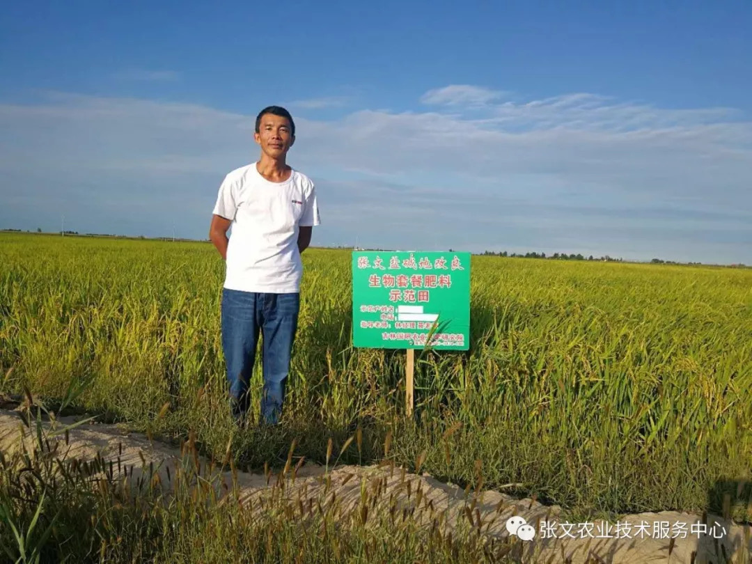 大美白城 我们的会员让盐碱地水稻高产不再是梦