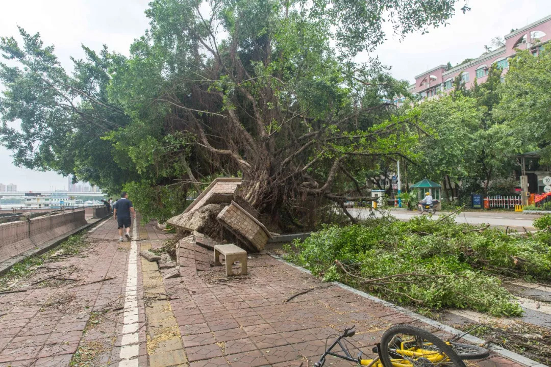 12级风圈洗礼暴风雨过后的黄岐