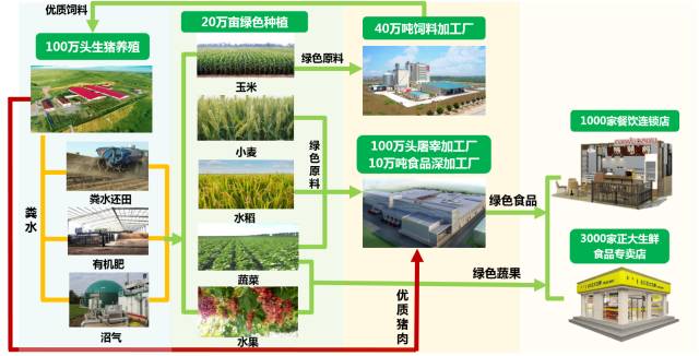 正大集团全封闭绿色循环生产体系(100万头猪全产业链项目)