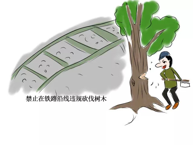 校园动态爱路护路珍爱生命