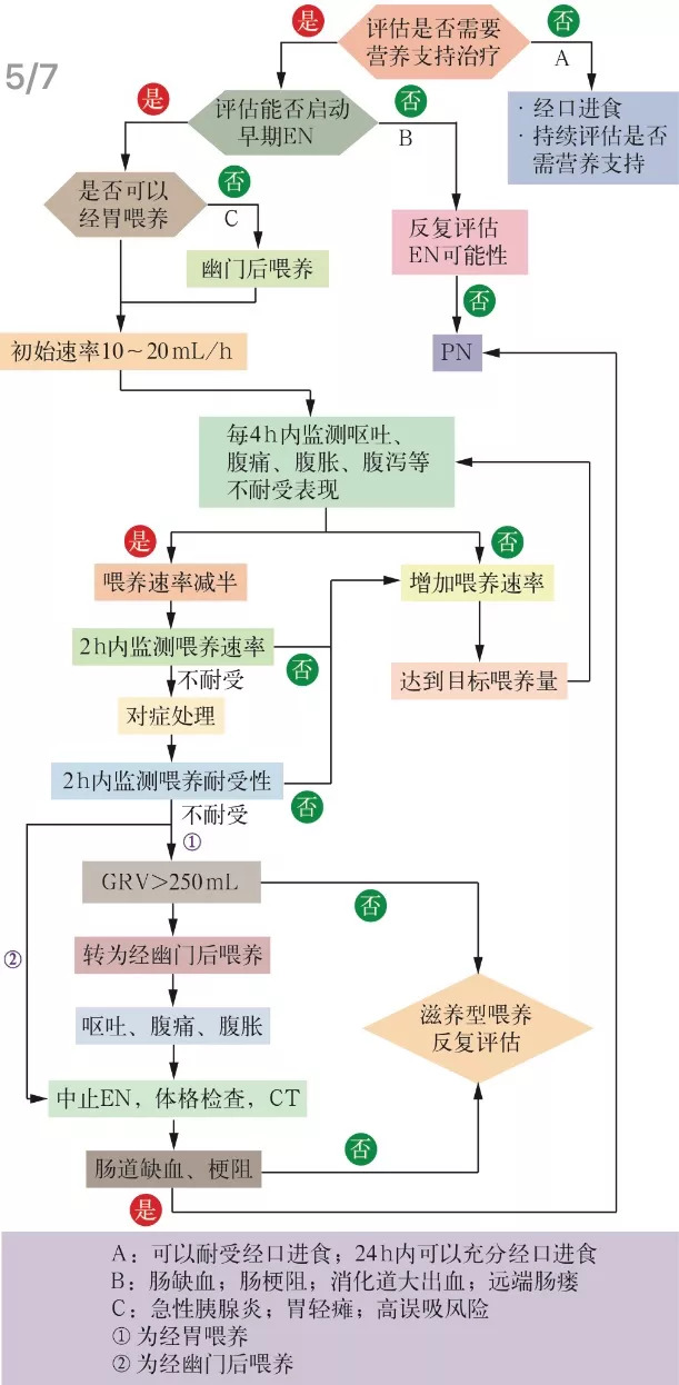 肠内营养实施流程