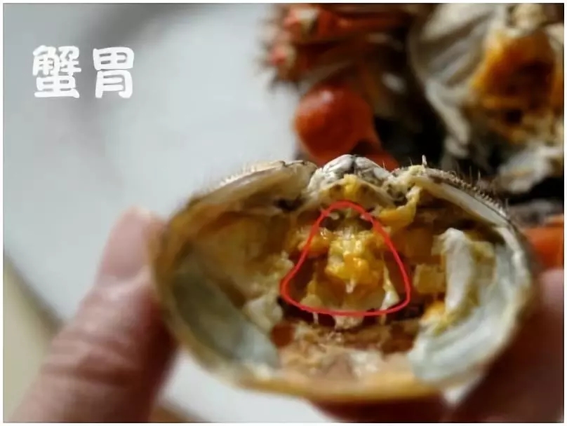 秘笈②:螃蟹哪些部位不能吃?