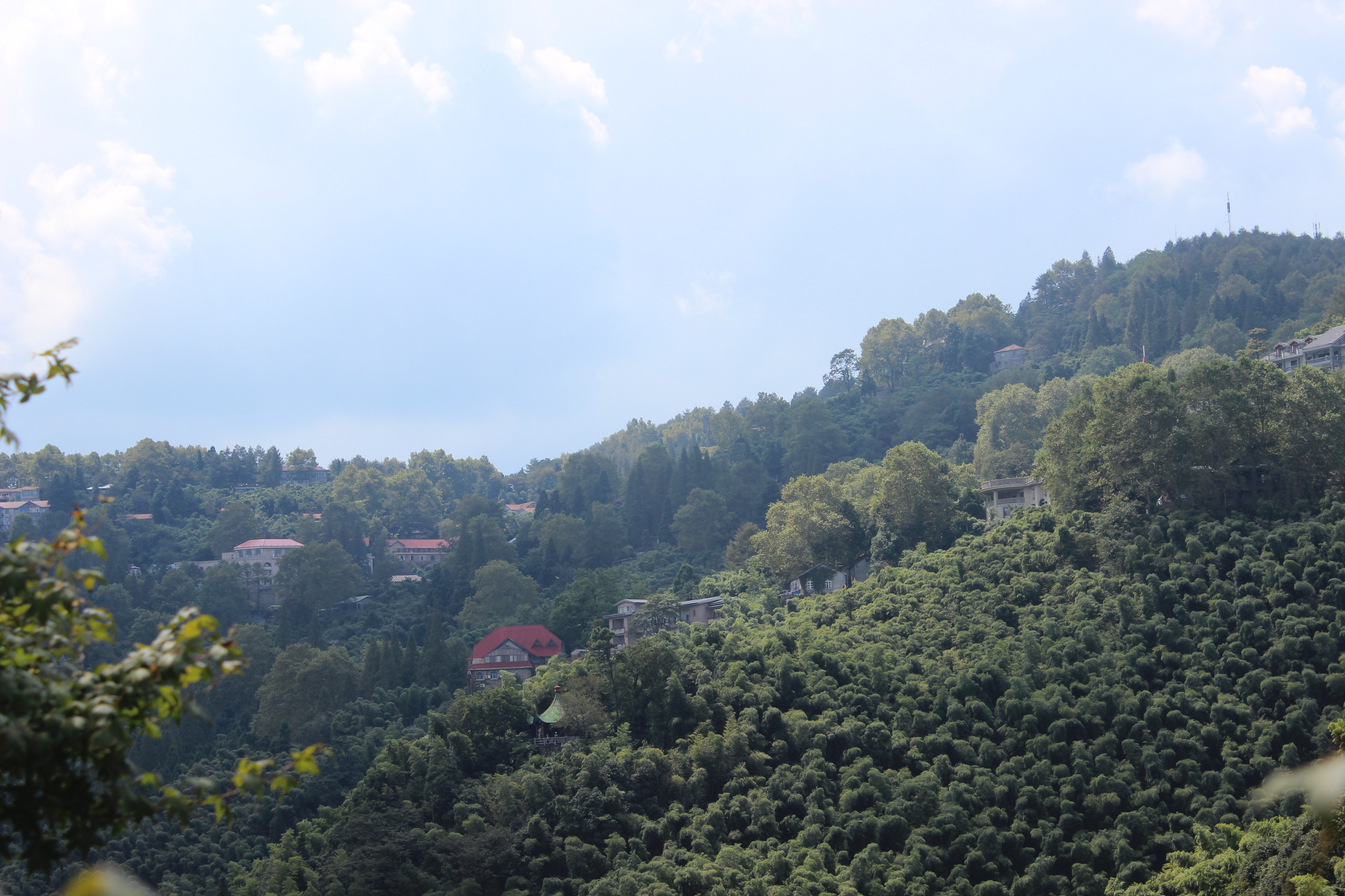 莫干山一生总要去的地方,在青山绿水中行走,邂逅江南第一山