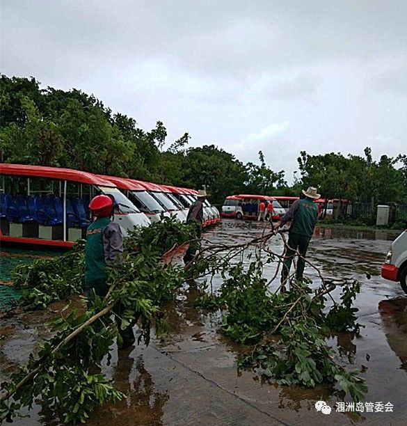 涠洲岛人口职业_北海涠洲岛图片