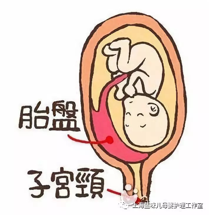 到了孕晚期更要注意胎盘成熟度,关系到胎儿后期营养够