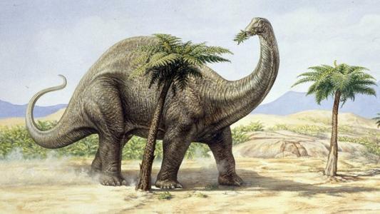 地球上10大体型最大的恐龙,易碎双腔龙居榜首,体重比蓝鲸还要大