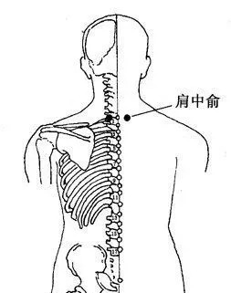 在第七颈椎棘突下,大椎(督脉)旁开2寸处.