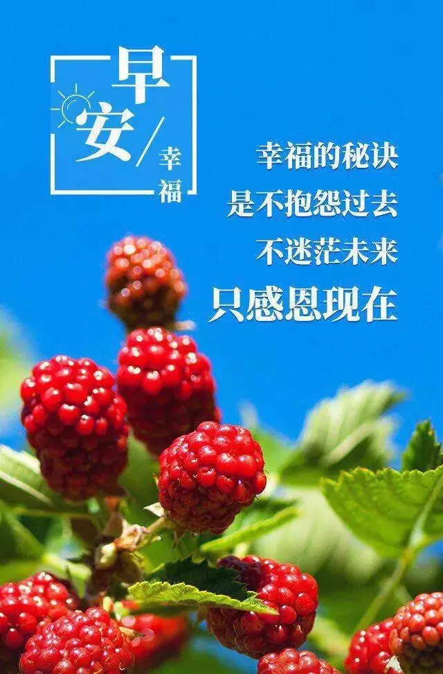 最新早安励志图片带字 新的一天开始早安激励人心的好