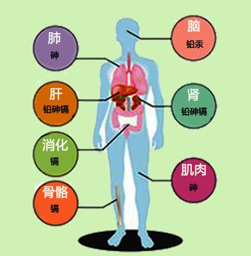 血液毒素正在摧毁我们的健康!