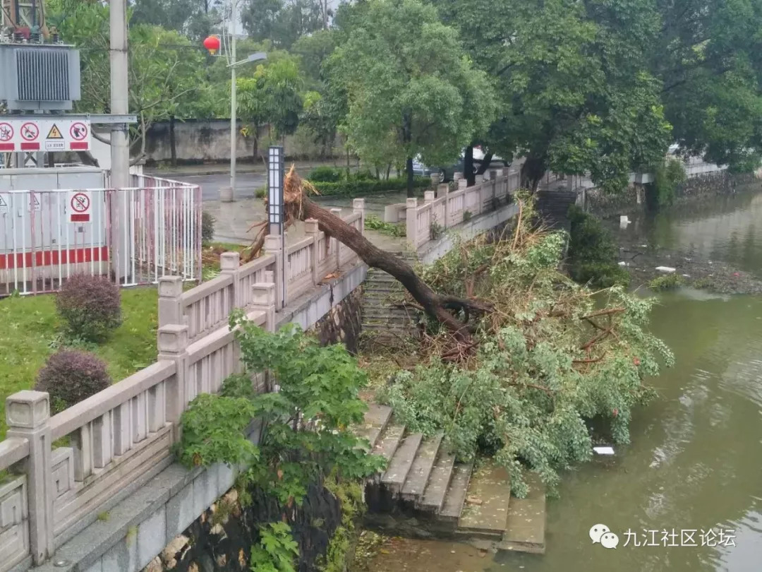 台风山竹远去九江沙头市面开始恢复