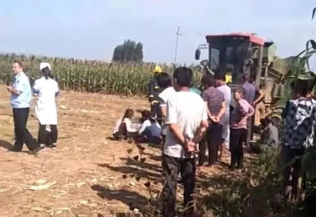 朝阳各村人收玉米的要注意,一名 2 岁男童被卷入玉米收割机,当场身亡!