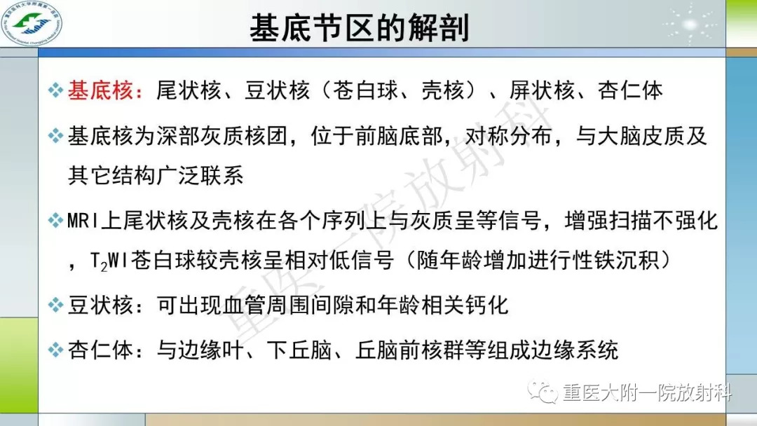 双侧基底节区对称性病变的鉴别诊断