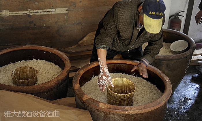 塑料厂上班10年成秃顶,用电加热酿酒设备批量生产古法