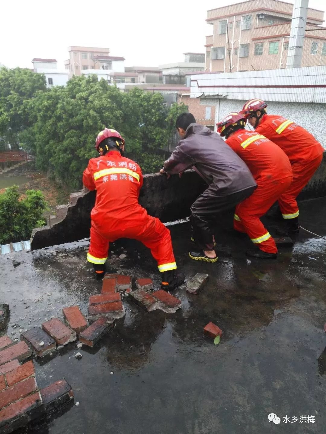 夏汇村人口_人口普查