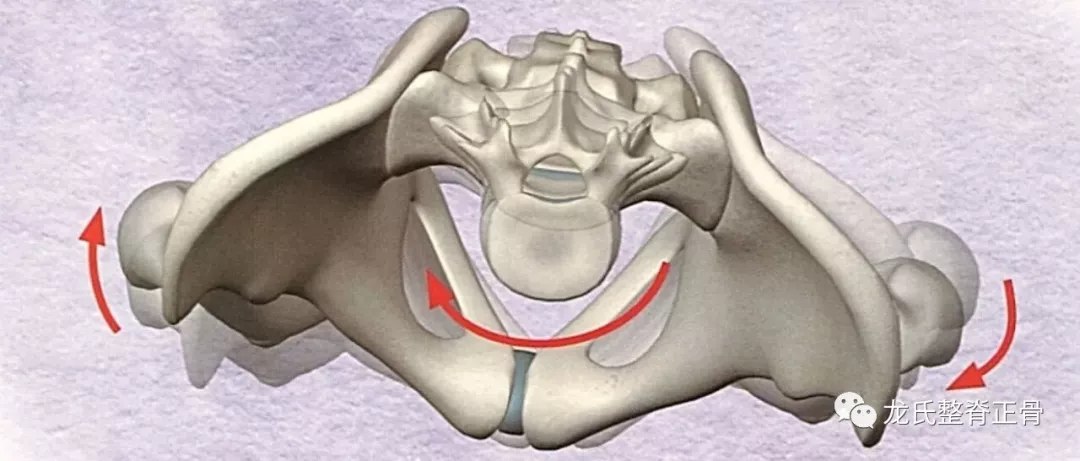 龙氏正骨是如何治疗骨盆旋移的?