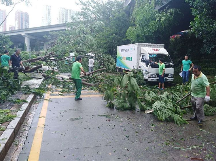 台风山竹过境后珠海垃圾分类项目部设备损坏情况报告