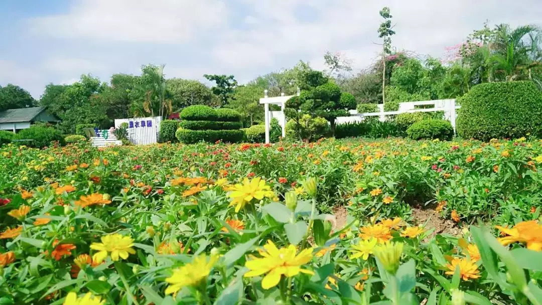 199元住花都香草世界木屋别墅香草世界门票300元游乐金秋游首选