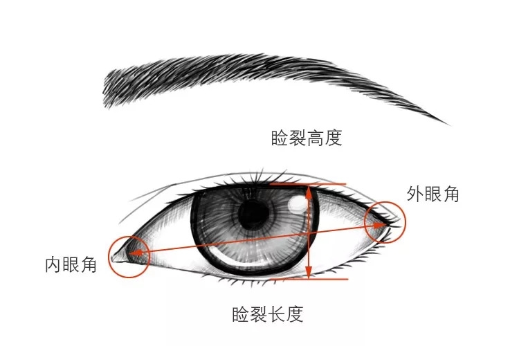 5mm. 知道了标准眼型的范围,那让我们拿起提眼神利器眼线笔!