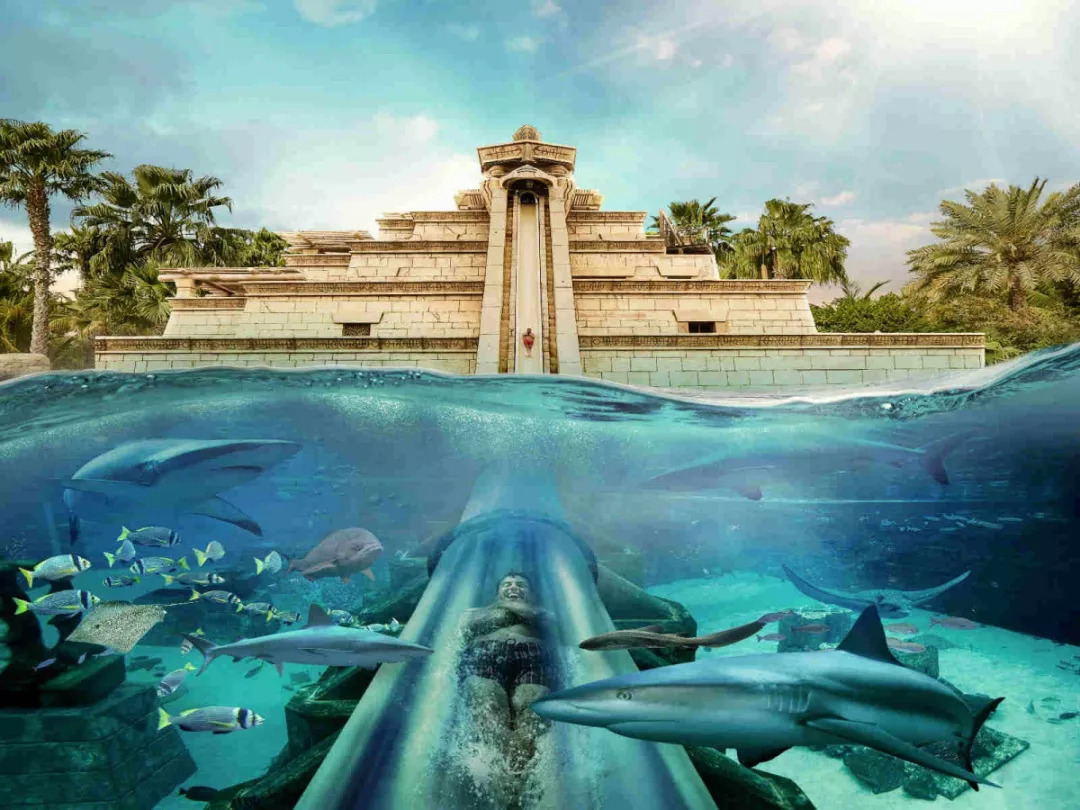 67此外,三亚·亚特兰蒂斯打造了一个水世界,是全年开放的乐园,设有
