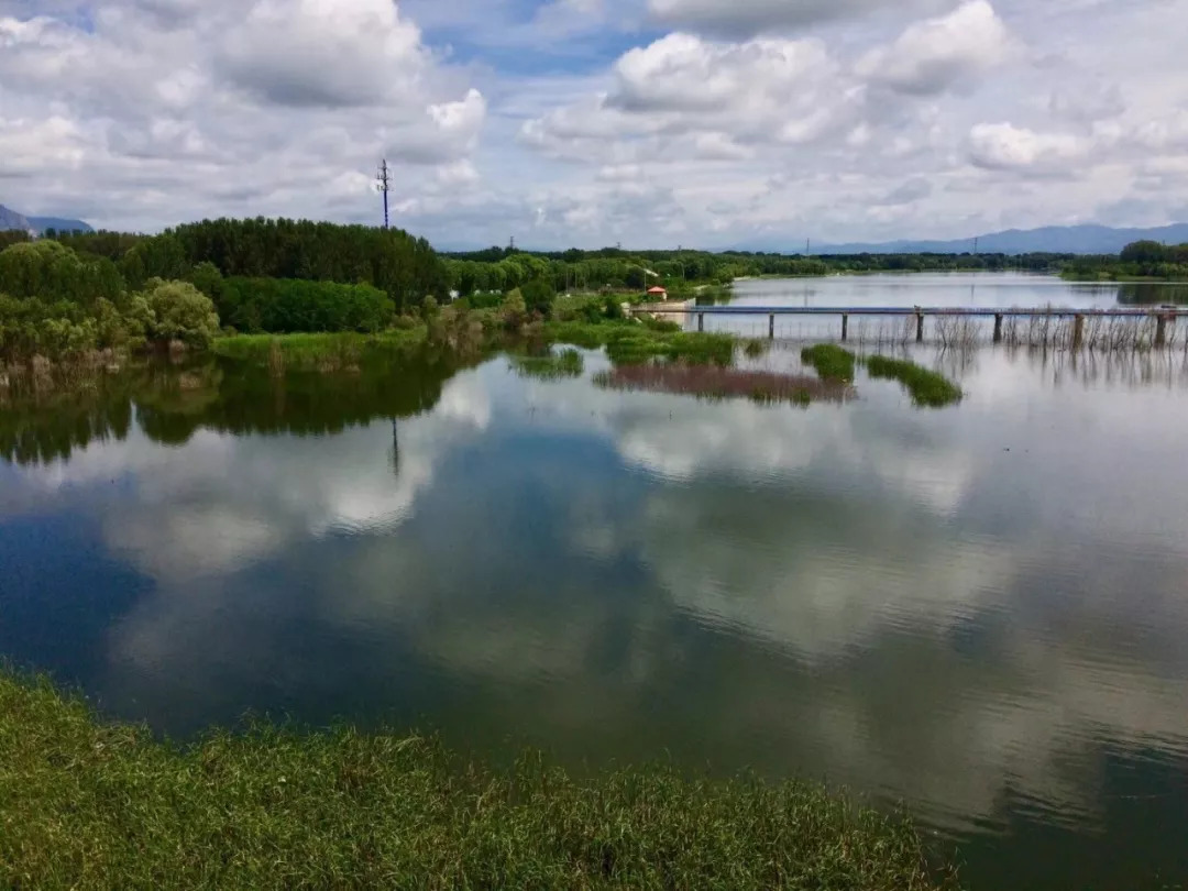 妫河湿地