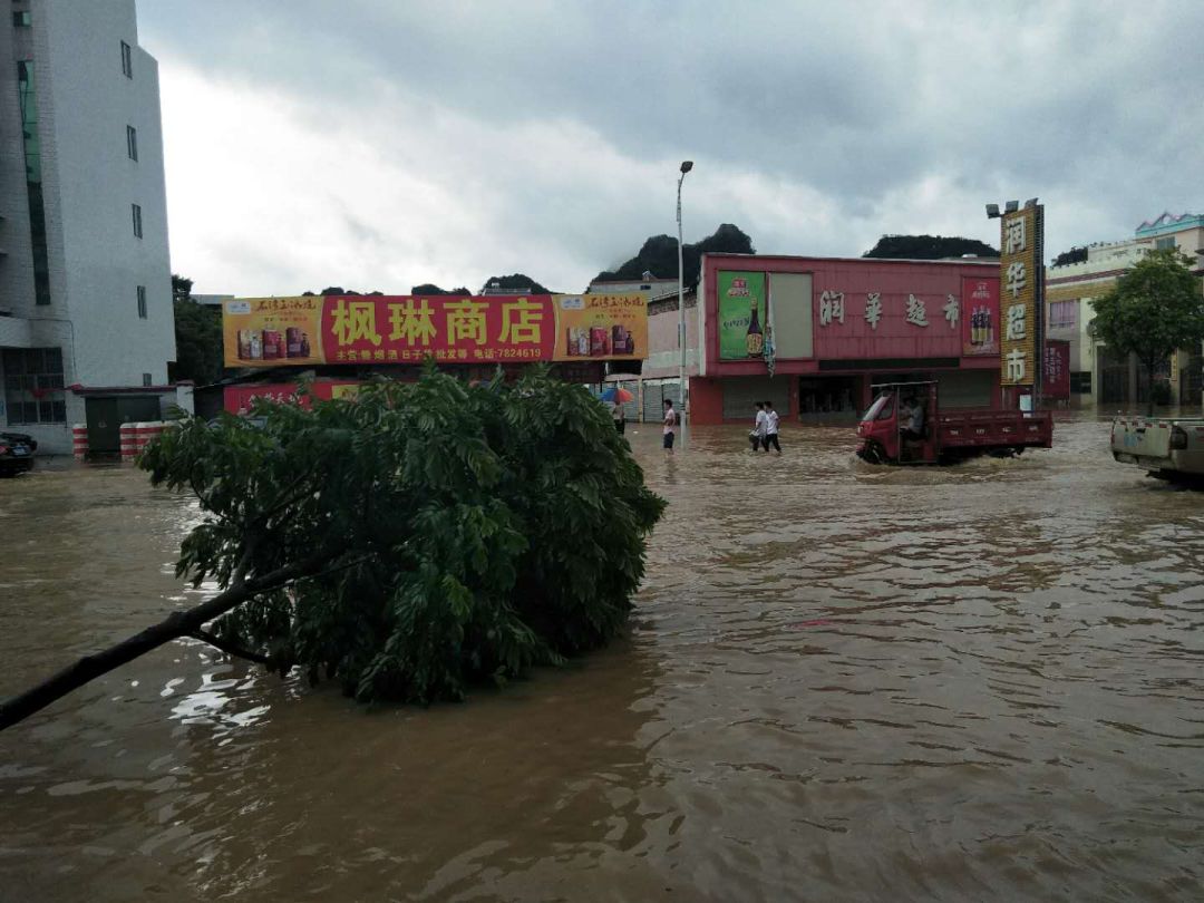 阳春春湾人口_阳春春湾石林路线图