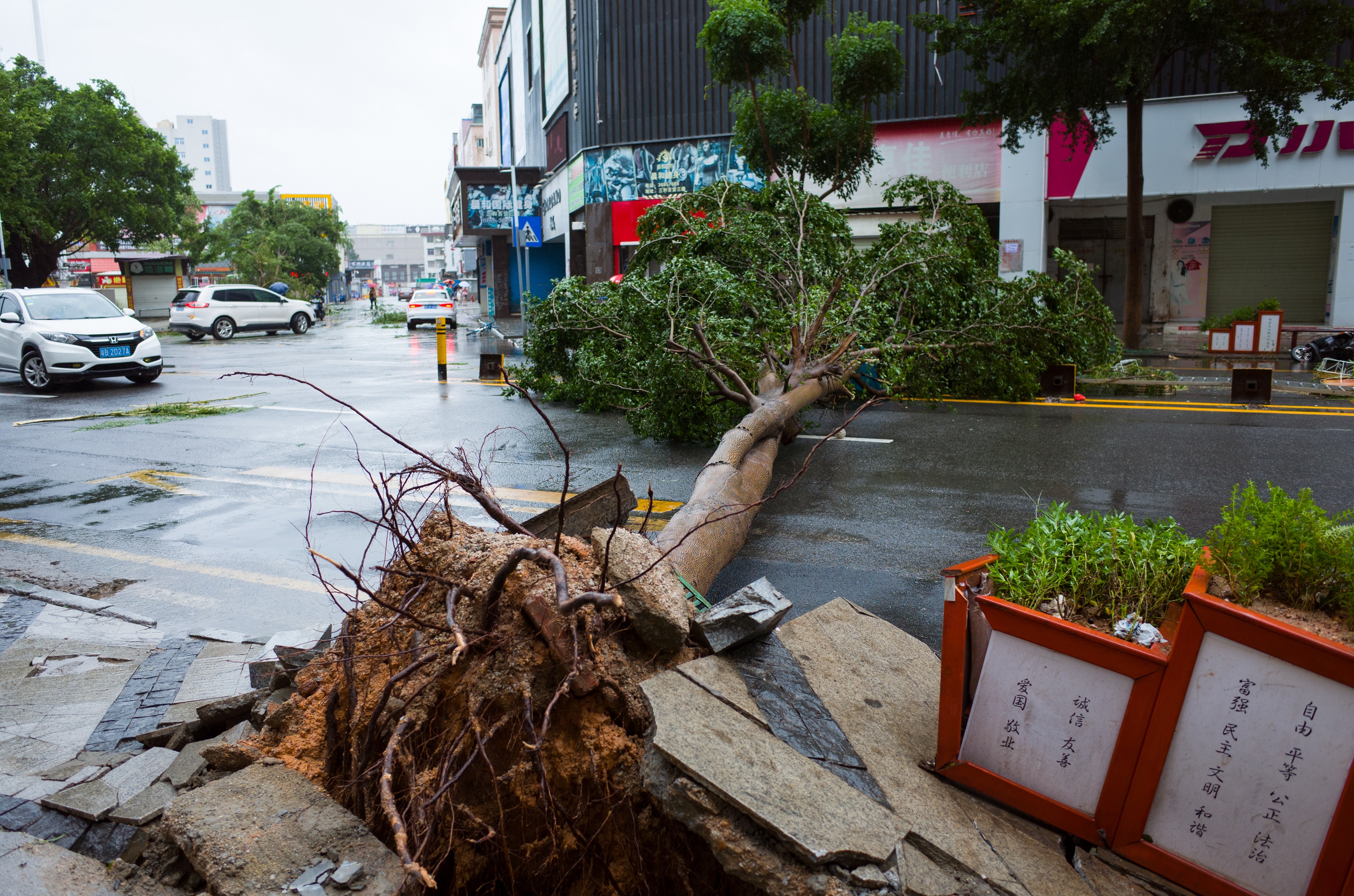 台风"山竹"横扫广东现场如灾难大片 车辆保险理赔成热门话题